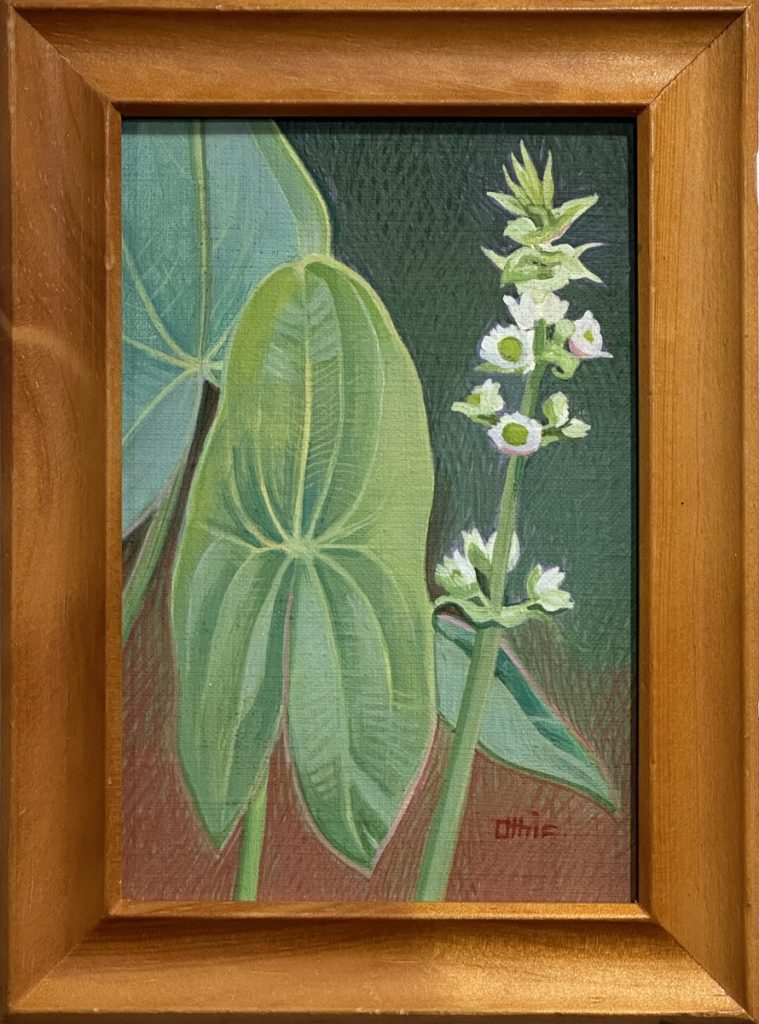 Oil painting of large broad leaves beside a slender white flowering spike against a dark green background.
