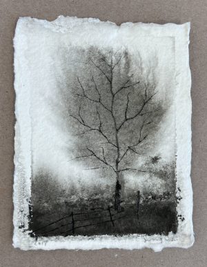 Ink drawing of a bare tree with spreading branches above a wooden fence, rendered in smoky greys and blacks on textured paper.