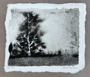 Ink wash landscape of a pale-barked tree at left against dark treeline and open field on textured paper.