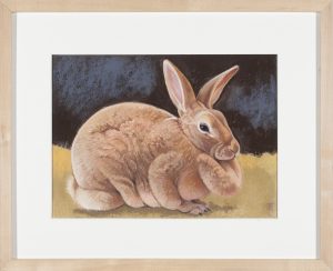 Pastel drawing of a large tan rabbit seated on olive-yellow ground against a dark blue-black background.