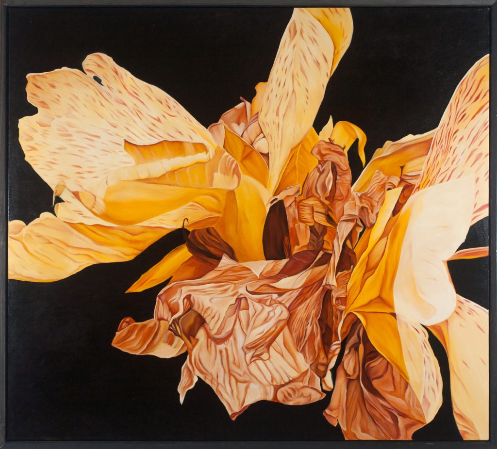 Oil painting of a large dying tulip with crumpled golden and amber petals against a black background.