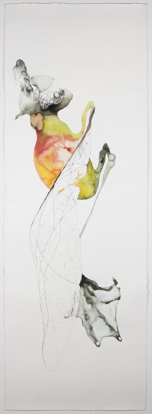 Ink artwork of abstract biomorphic forms in yellow, orange, and grey-green with fine looping lines on white paper.
