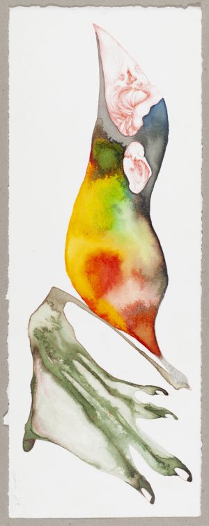 Ink painting of a biomorphic form with a fleshy pink shape, vivid pooled color washes, and a green bird foot with talons.