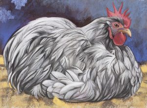 Pastel drawing of a large silver-feathered chicken resting on golden straw against a deep blue background.