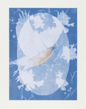 Chalk and graphite drawing of a flying bird centered in a glowing oval against a deep blue cyanotype background with leaf silhouettes.
