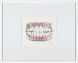 Pencil drawing of a set of novelty chattering teeth with white teeth and red gum base on white paper.