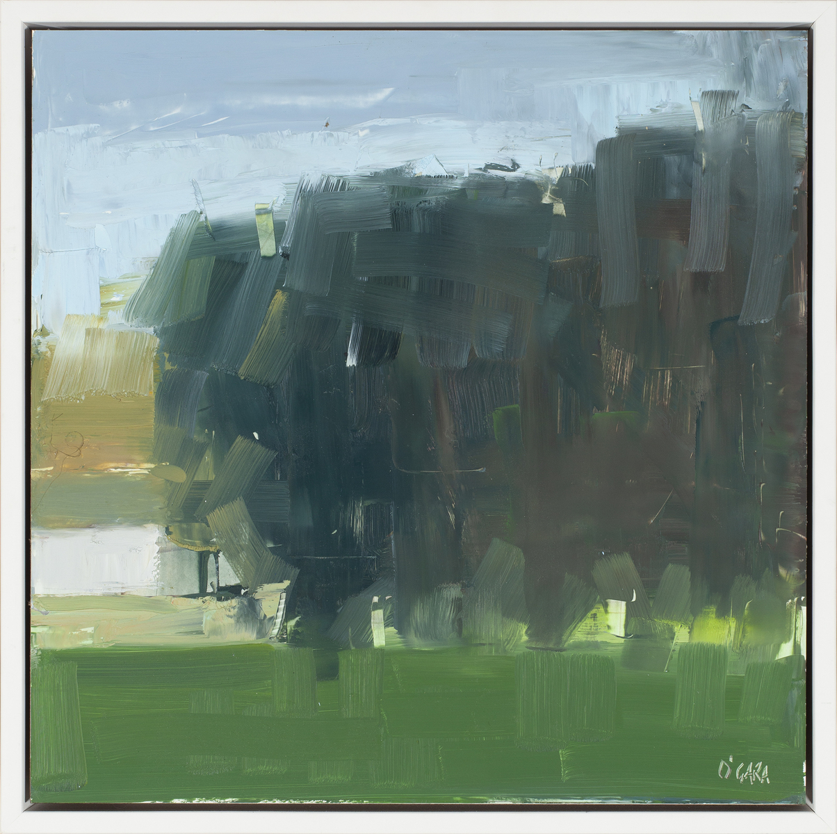 Tree Shadows