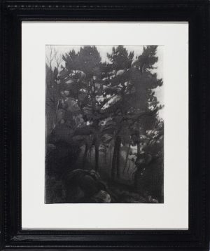 Charcoal drawing of dark pine trees and rocky boulders in a dense, shadowy forest interior.