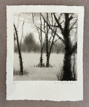 Ink drawing of bare winter trees in a misty meadow with soft grey atmospheric washes on white paper.