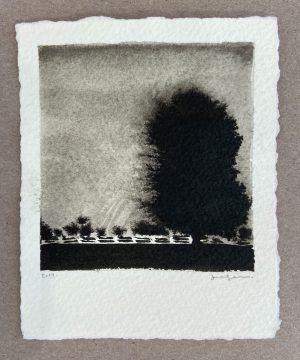 Ink wash drawing of a large dark tree silhouette beside a fence line against a pale misty sky.