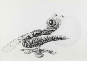 Charcoal drawing of a fantastical hybrid creature with frog-like eyes, spotted scales, wings, and webbed feet on white paper.