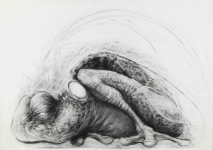 Charcoal drawing of a coiled monstrous creature with scaly skin, a single eye, and an egg-like form nestled within its limbs.