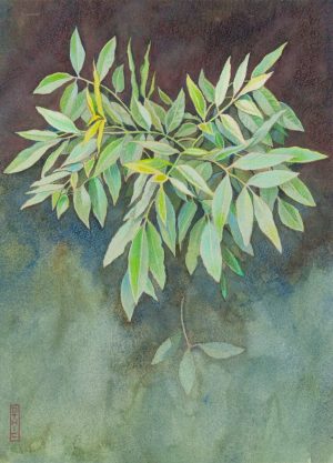Watercolor and colored pencil painting of a leafy green branch with lance-shaped leaves against a muted teal and burgundy background.