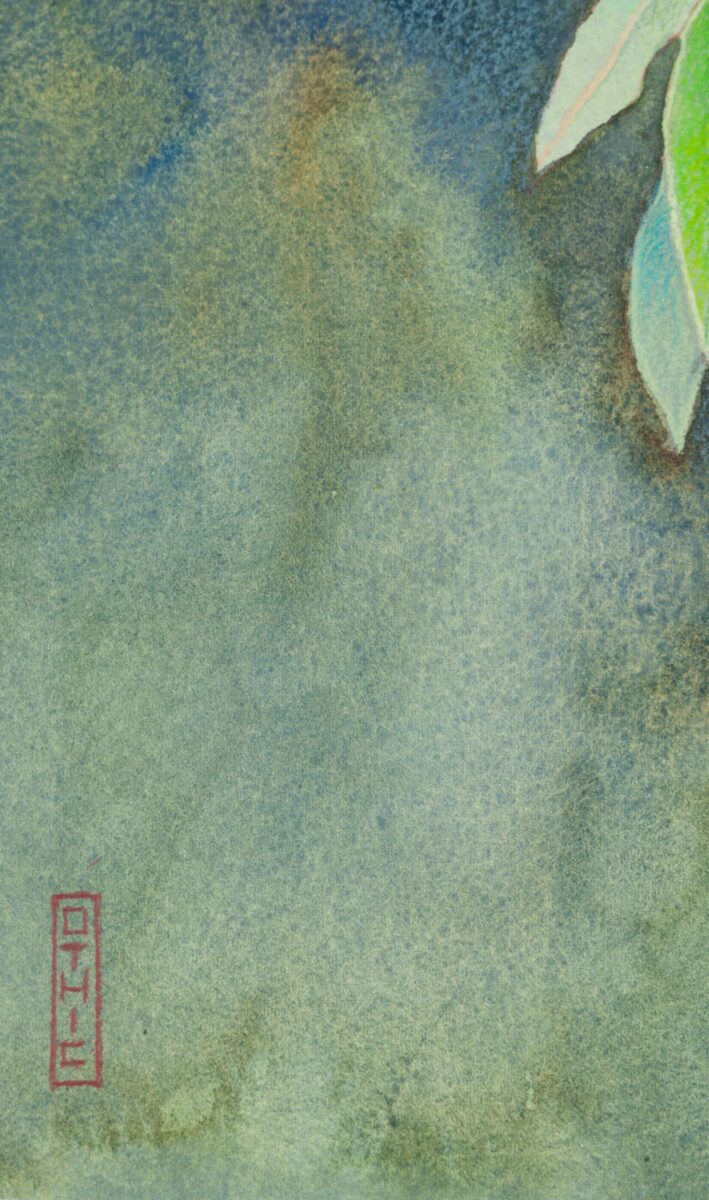 Leaves