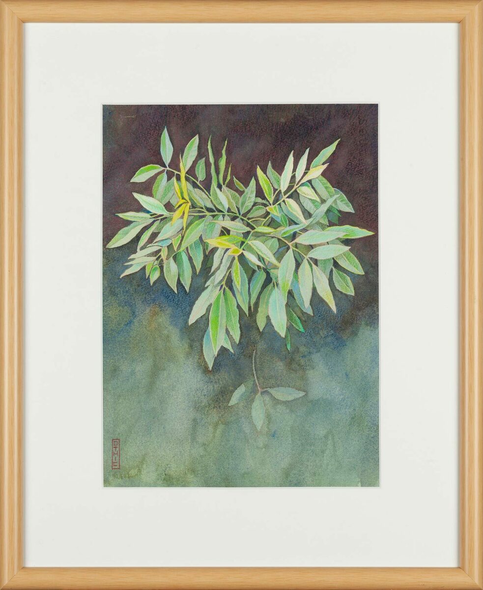 Leaves