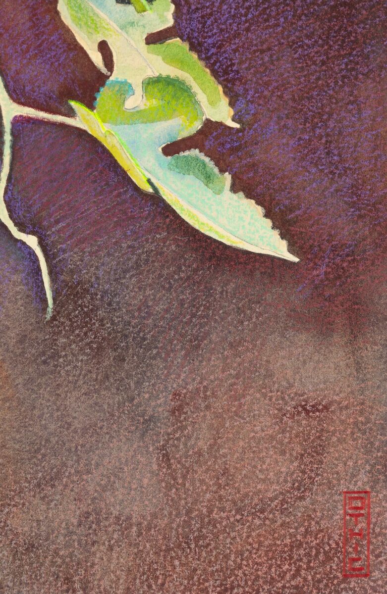 Mulberry