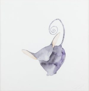 Watercolor and ink painting of a small mammal with large ears and a spiraling striped tail, viewed from above.